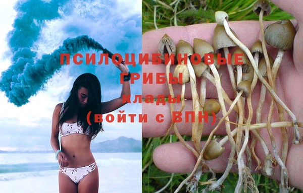 каннабис Краснотурьинск