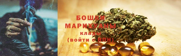 соль ск Кулебаки
