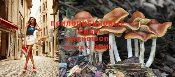 винт Кукмор