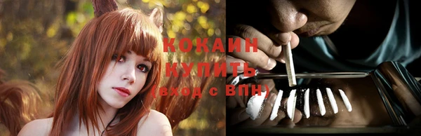 ГАЛЛЮЦИНОГЕННЫЕ ГРИБЫ Архангельск