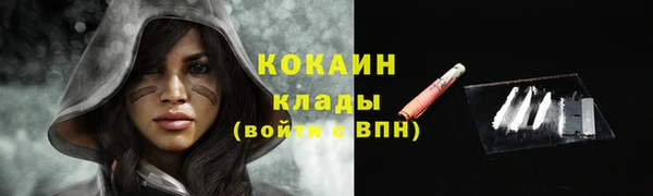 соль ск Кулебаки