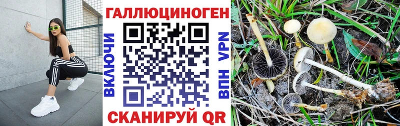 Галлюциногенные грибы ЛСД Талдом