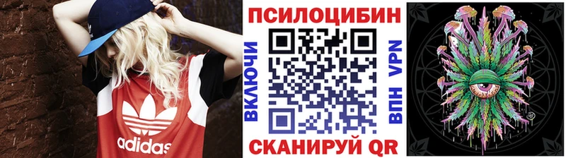 Псилоцибиновые грибы MAGIC MUSHROOMS  сколько стоит  Талдом 