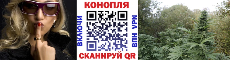 МЕГА ссылки  Талдом  Марихуана Amnesia 